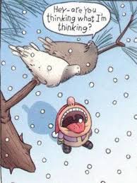 bird memes...