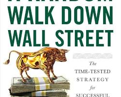 Image of Random Walk Down Wall Street book cover