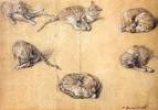 Les chats dans laposart - Stefano Zuffi - Babelio