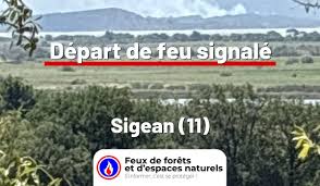 Feux de forêt - News update