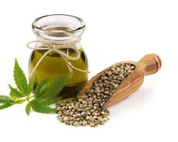 hemp seeds and hemp oil