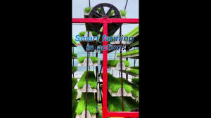 Trend Google: agricoltura