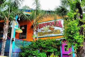 Image result for pictures of fudpucker in destin florida