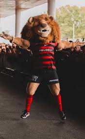 Stade Toulousain - News update