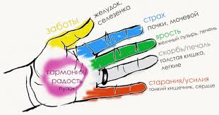 Картинки по запросу картинки здоровье в наших руках