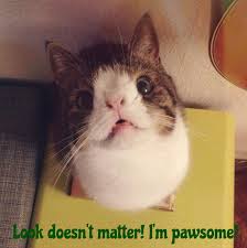 R&eacute;sultat de recherche d'images pour 