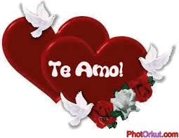 images?q=tbn:ANd9GcRdIIfE_mOChmqpDW8ZFGW