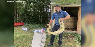 python