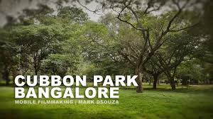 Image result for Cubbon Park images