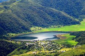 Image result for tonzang