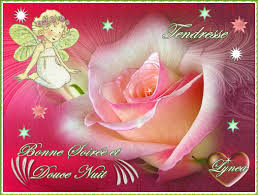 Résultat de recherche d'images pour "bonne soirée et douce nuit"