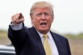 Image result for trump