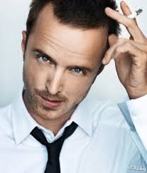 All The Best Quotes From Aaron Paul&#39;s Reddit AMA - The Frisky via Relatably.com