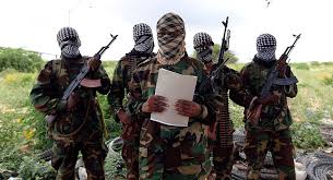 Image result for US born al Shabaab militant surrenders – Official
