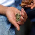 Fake Pot Plagues Illinois