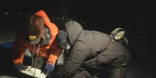 Iditarod 54: Jessie Holmes leaves White Mountain hours ahead of race field