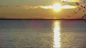 FOX 2 Detroit - News update