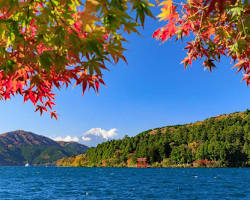 芦ノ湖畔の紅葉の画像