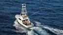 Maui Fishing Charters Maui Deep Sea Fishing Maui Sport Fishing