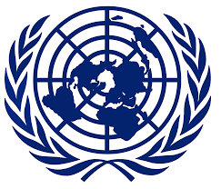 Image result for UN Logo