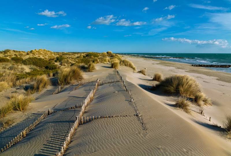 Camargue