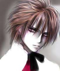 Résultat de recherche d'images pour "vampire knight shiki"