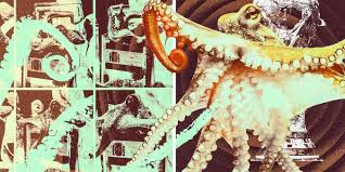 The Dark Legacy of Paul the Octopus: How a 2010 World Cup Oracle Exposed SAPS and TRC Scandals