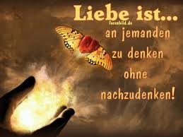 images?q=tbn:ANd9GcReRbueUcPQCxHThZY5Vl9M6jjb74WV4gwOYrZjXHC8_m2h__R-