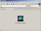 Netscape addons