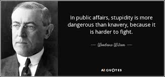 Woodrow Wilson quote: In public affairs, stupidity is more ... via Relatably.com