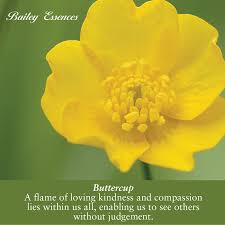 Buttercups Quotes. QuotesGram via Relatably.com