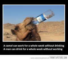 Funny Quotes About Drinking Water. QuotesGram via Relatably.com