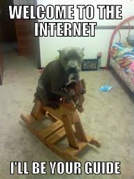 Image result for welcome to the internet meme