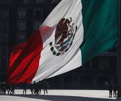 Mexico approves election annulment reform over interference