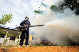 Image result for how malaysia fights against dengue fever