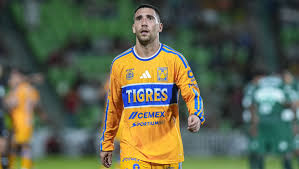 Fernando Gorriarán: ‘Somos Tigres y nunca hay que darnos por muertos’