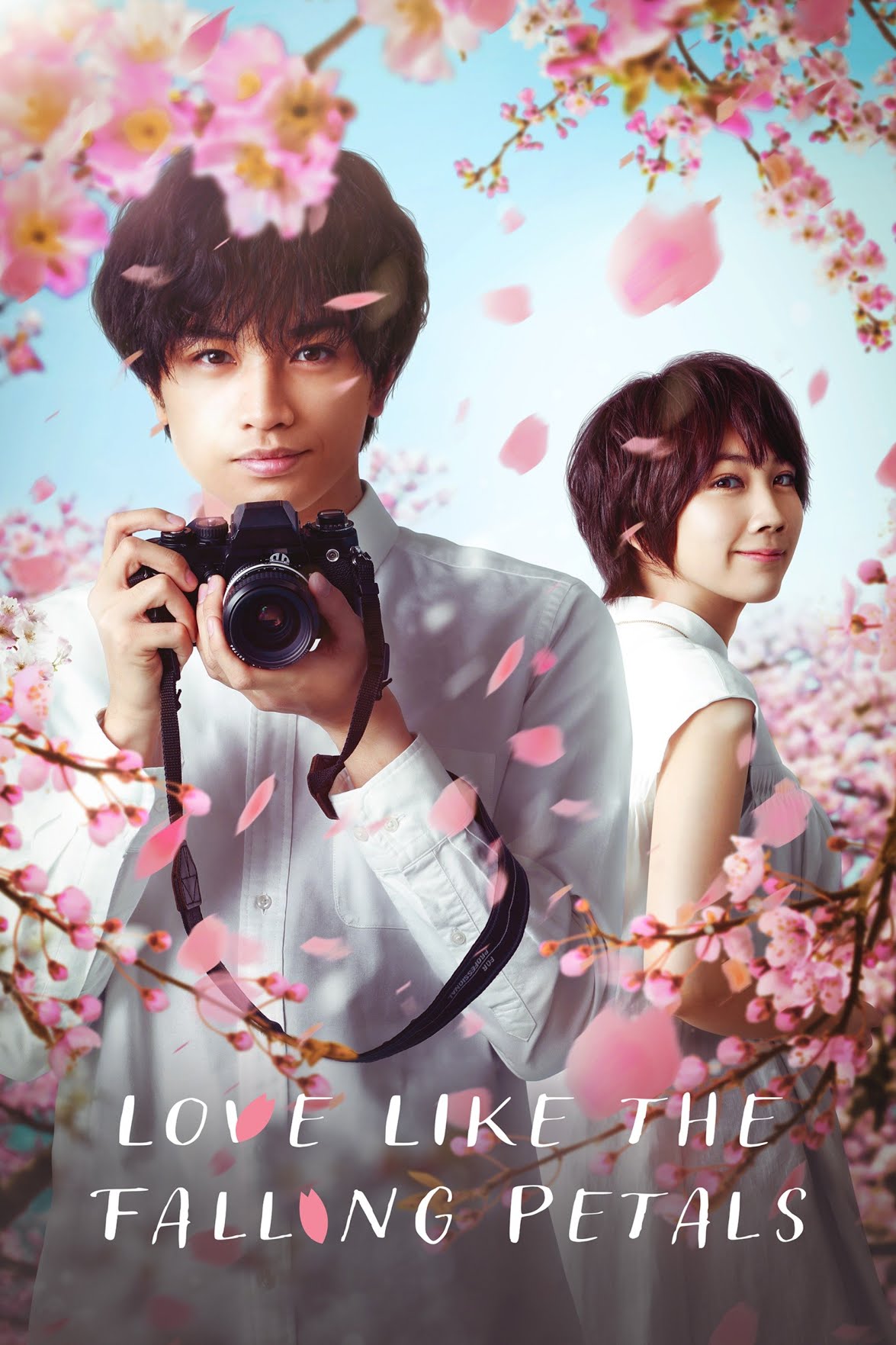 [MINI Super-HQ] Love Like the Falling Petals (2022) ใบไม้ผลิที่ไม่มีเธอเป็นซากุระ [1080p] [NETFLIX] [พากย์ไทย 5.1 + เสียงญี่ปุ่น 5.1] [บรรยายไทย + อังกฤษ] [เสียงไทย + ซับไทย] [DOSYAUPLOAD]