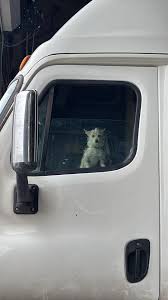 The CVSA has set an English language proficiency out-of-service enforcement date.