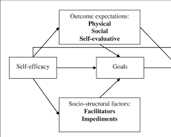 Social Cognitive Theory (SCT) in healthcare