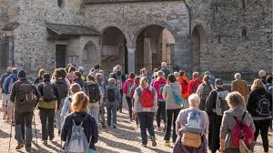 Trend Google: aquileia