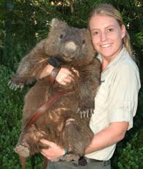 Image result for wombat