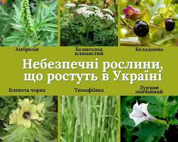 ПІВНІЧНО-БЕССАРАБСЬКИЙ ІНФОРМАЦІЙНИЙ ПОРТАЛ - News update
