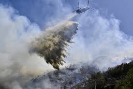 Teen Suspected of Sparking Laguna Beach Wildfire