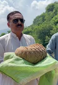 Associated Press of Pakistan - News update