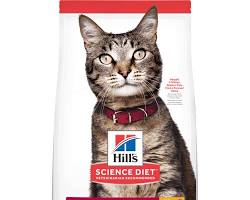 Hill's Science Diet cat foodの画像