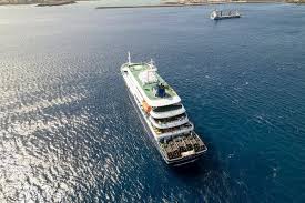 3 Dead of Suspected Hantavirus Infections on Cruise Ship, W.H.O. Says
