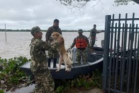 Clarin.com