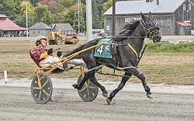 Punters paradise at Cumberland Fair