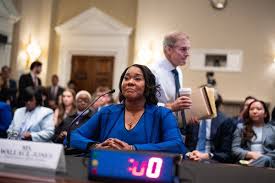 ActBlue C.E.O. Invokes Fifth Amendment Repeatedly in Testimony to Congress