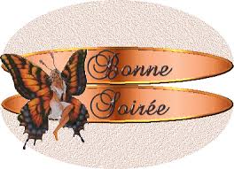 Image result for bonne soiree week end